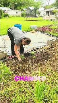 ADHD gardening tips #gardening #neurodivergent #gardentips #plantlife