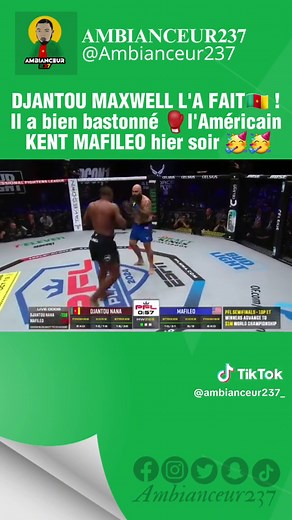 Boxing Combat Highlights: Powerful Punches and Brutal Kicks