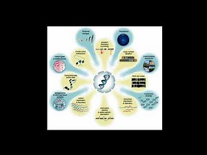 Vet2020 Aula 11: Ômicas e Bioinformática Básica