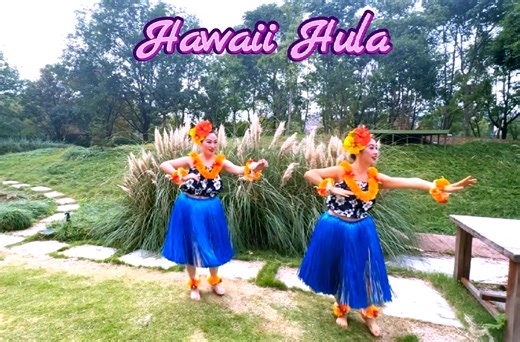 Aloha：夏威夷呼啦（草裙舞）（从来不只是外向柔美优雅）（更是内向生长与绽放🌸）