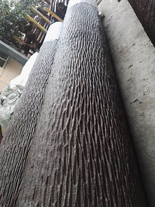 [Hot Item] Camouflage Palm Tree Monopole Antenna Tower for Mobile Networks