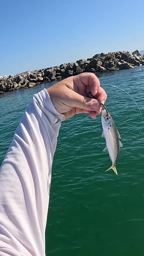 Southern Salt Kayak on TikTok