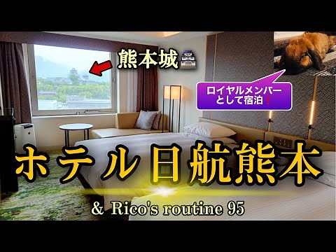 ホテル日航熊本 ＆Rico’s routine 95 熊本城が見えるお部屋に宿泊❗️ワンハーモニーのロイヤルメンバーとしての特典や恩恵もご紹介します✨