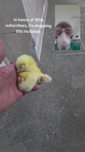 I feel sorry for them, but the only thing we can do is educate you about mutations. For some, this is an example of how mortal we all are. You only get one life, don't waste it. Take care of your health and your loved ones. P.S. White C00k Мне жаль их, но единственное, что мы можем сделать с Вами - ознакомиться с мутациями. Для некоторых это пример того, что все мы существа смертные. Жизнь дана одна, не проебите её. Берегите здоровье и своих близких. P. S. White C00k #accident #alien #mutant #ra