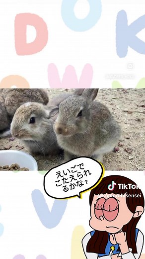 #知育#英語#子ども#英単語#動物 #ウサギ #英語学習 #english #アニメーション #movie #原宿＃保育士ママ#こどものいる暮らし#英語であそぼ #教育 #遊ぶ#子育て #育児替え歌