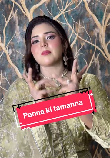 Panna Ki Tamanna: Mr & Mrs Ayaz Ali