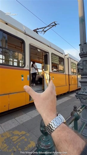 Why He Started Protecting His Shadow! #facts #ytshorts #trending