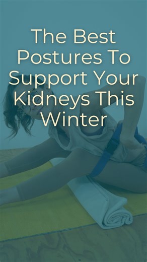 KAT | Practices for Radiance + Longevity on Instagram: "The easiest poses to support the health of your kidneys 👇 When you know what postures support which organs you are given the keys to an invaluable skill: being able to support your body when it needs it. ‼️ Kidneys are one organ that always need more support. We are living in incredibly stressful times and that means the kidneys become depleted. 👀 Kidneys hold your life force and they are damaged anytime we are operating out of depletion.