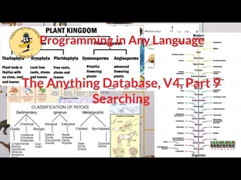 The Anything Database, Version 4, Part 9