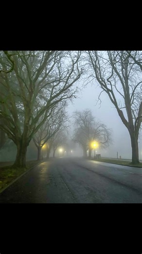 Seattle lately. Ran a ton of miles, bought a house with a sweet rooftop and epic views 😮‍💨 #runtok #seattle