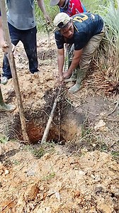 Evakuasi ular phiton dalam lubang. #ularphiton #reelsfyp #reelsviral | Arga Fanabe