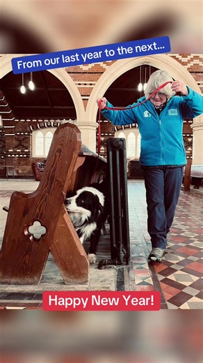 From our last year to the next… Happy New Year!!