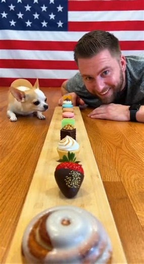 Ultimate Dog vs Man Eating Challenge 🔥🐕🙍 #dog #funny #eatingchallenge #pets #chihuahua