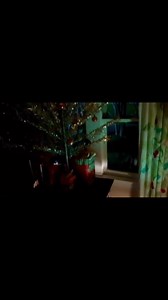 Repost from 2020: Our old aluminum Christmas tree is not as big and...