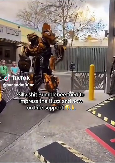 Bumblebee's Hilarious Attempts to Impress Redux