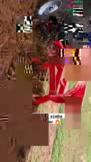 New Holland simba 20 | Mitul Odedra