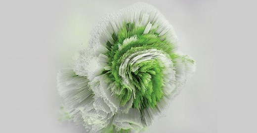 Deloitte Insights Magazine, issue 33