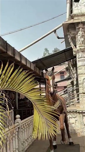 jai Balu Mama 🚩🙏🏻 #admapurX #balumamachyanavanchangbhala #balumama#song#atpadi