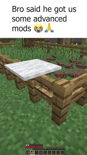 Cool mods bro...💀 #minecraft #shorts