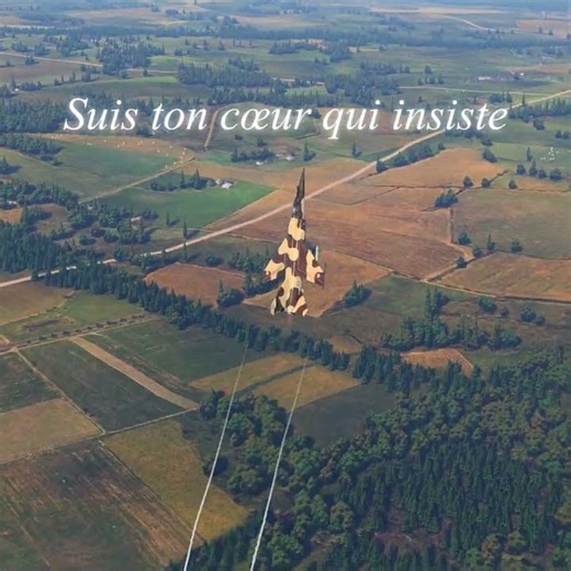 France Gall - Resiste | Mirage F1C 200