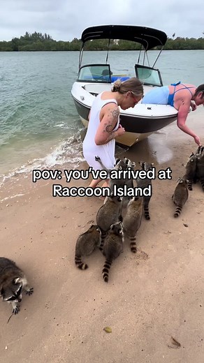 Explore Fort Lauderdale with Boat Rentals to Raccoon Island