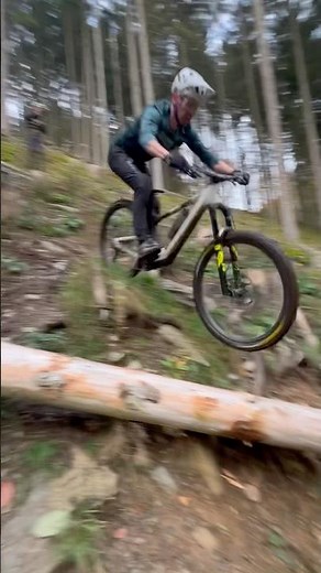 Would you HOP the TREE?! #mtb #bunnyhop #mountains