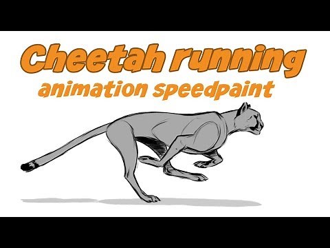 Cheetah run animation speedpaint