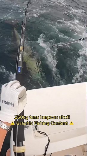 Exodus Fishing on TikTok