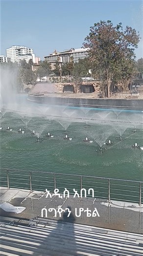 Mekonnen Beyene (@mekonnenbeyene)’s videos with original sound - Mekonnen Beyene