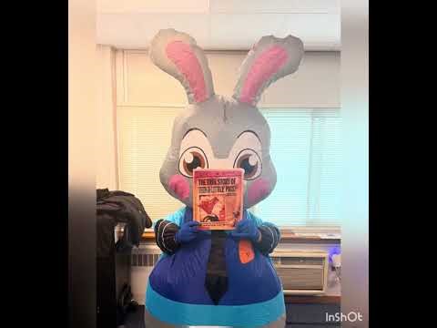 Masked reader Reveal 2026