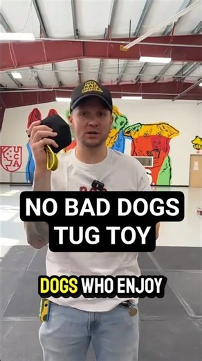 No Bad Dogs tug toy for fetch, engagement, and training rewards. Not for unsupervised chewing