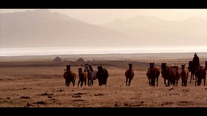 Taking to the saddle for the first time in 12 years, this 69-year-old woman will brave below-zero temperatures and hungry wolves of Kyrgyz mountain ranges in order to settle the wrangling question of the Appaloosas' origin and prove other American horse breeders wrong. "For 40 years I've claimed they came from Asia, and for 40 years they've laughed at me", she says. Not anymore. Streaming now at Horse.TV | Horse.TV