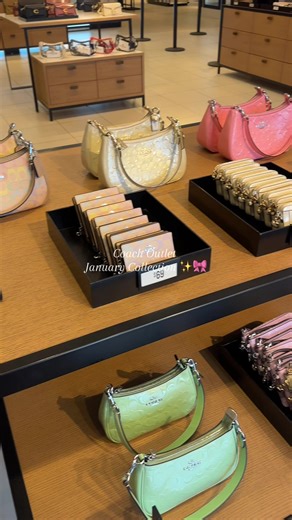 Discover Coach Outlet Haul and Unboxing Experience