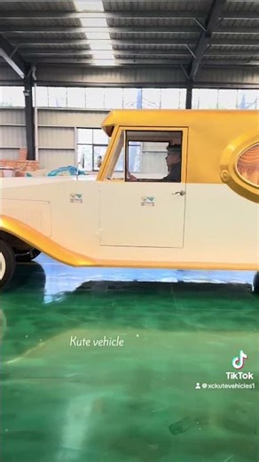 Our Limousine hearse provides a unique option for families