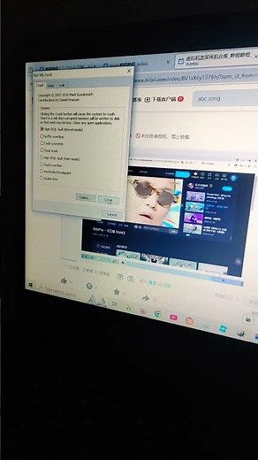 virtualbox 5.0.40 bsod vm #windows