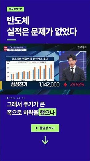 Semiconductor Earnings Were Perfectly Fine | Noh Hyun-bok, Vice President of W Asset Management |...