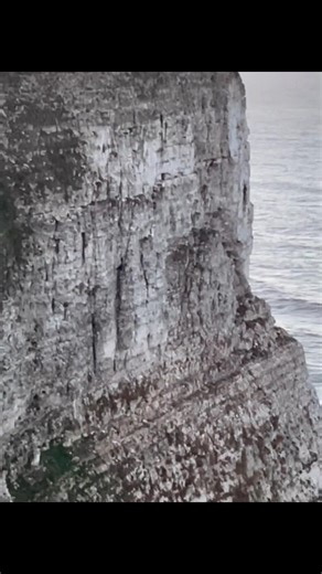 Late walk flamborough north landing to bempton. Pitch black on way back. And cold ride home on scooter. Just a great walk. Hopefully sleep tonight ! Sleep well everyone! | Steve Thompson