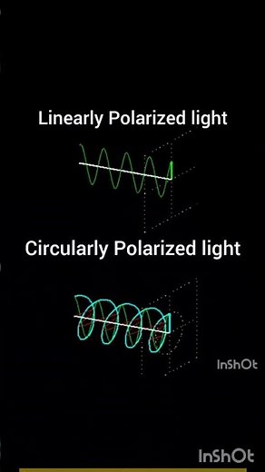 Linearly vs Circularly Polarized light#physics #optics