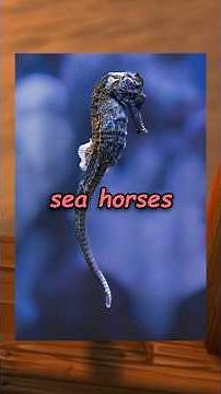 rel finally has a fish fact #worldofwarcraft #warcraft #wowclassic #wow #wowfishing #funfacts