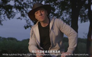 【吃瓜就得吃甜瓜】DIF不但让水果更甜， 还能控制植物的高度喔