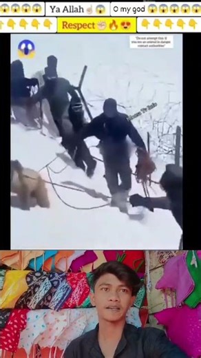 MashAllah#Respect#shorts#status #short#llo my God😱😱ll