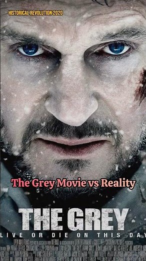 The Grey Movie vs Reality: What It Gets Right and Wrong #shorts