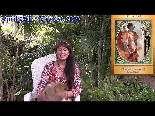 This week Doreen Virtue gives a special oracle card reading using her Archangel Michael Oracle Cards and Archangel Gabriel Oracle Cards. Doreen also guides you through a beautiful prayer meditation to help you receive guidance in following and fulfilling your life purpose. | Hay House