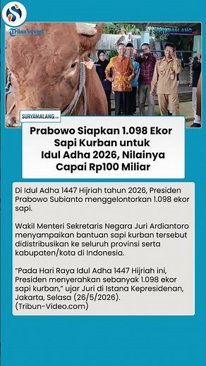 Prabowo Siapkan 1.098 Sapi Kurban Idul Adha 2026, Nilai Rp100 Miliar, Dibagikan ke Seluruh Indonesia