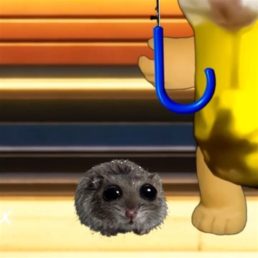 Banana Cat Kindness: Sharing Shelter in the Rain