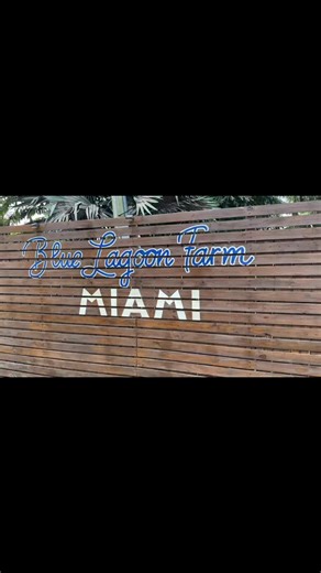 Discover Miami's Natural Swimming Lagoon for Spring Break