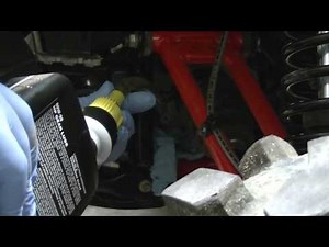 Front Diff Oil Change Wildcat Sport