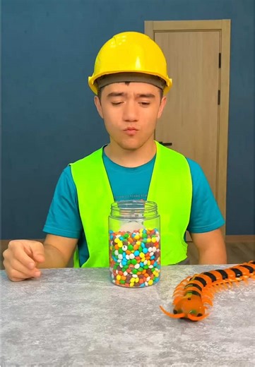 Hilarious Snake Moments That Will Make You Laugh