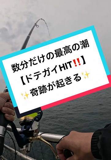 数分間しかなかった最高の潮 【ドテガイHIT‼️】 奇跡が起きる✨ #遠投カゴ釣り #カゴ釣り #遠投カゴ釣り仕掛け #釣り動画 #釣り