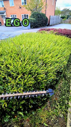 SATISFYING hedgetrim using the EGO trimmer! #garden #diy #gardening #satisfying #hedgetrimming #ego #easy EGO | JustGardens